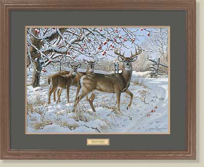 November Snowfall-Whitetail Deer by Persis Clayton Weirs